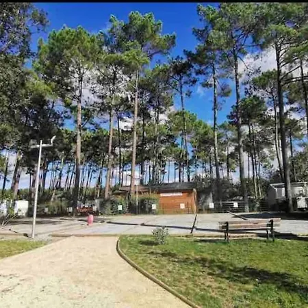 Apartment Sous Les Pins, Pres De La Mer, 6-8 Pers,bien Equipe, Piscine *