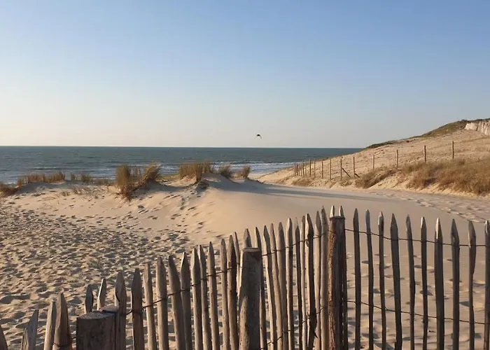 Sous Les Pins, Pres De La Mer, 6-8 Pers,bien Equipe, Piscine *