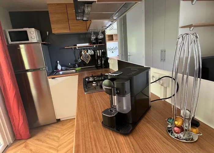 Sous Les Pins, Pres De La Mer, 6-8 Pers,bien Equipe, Piscine *