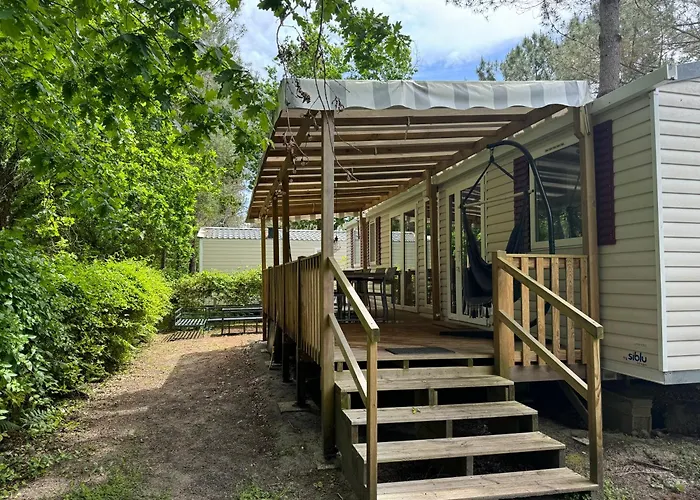 Sous Les Pins, Pres De La Mer, 6-8 Pers,bien Equipe, Piscine Daire *