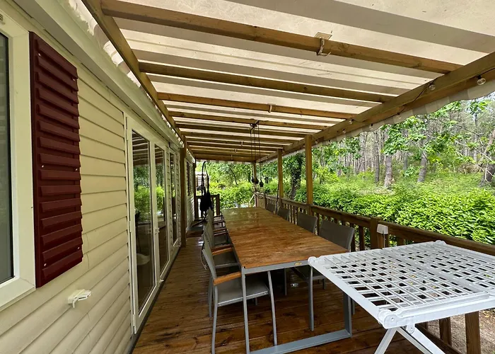 Sous Les Pins, Pres De La Mer, 6-8 Pers,bien Equipe, Piscine *